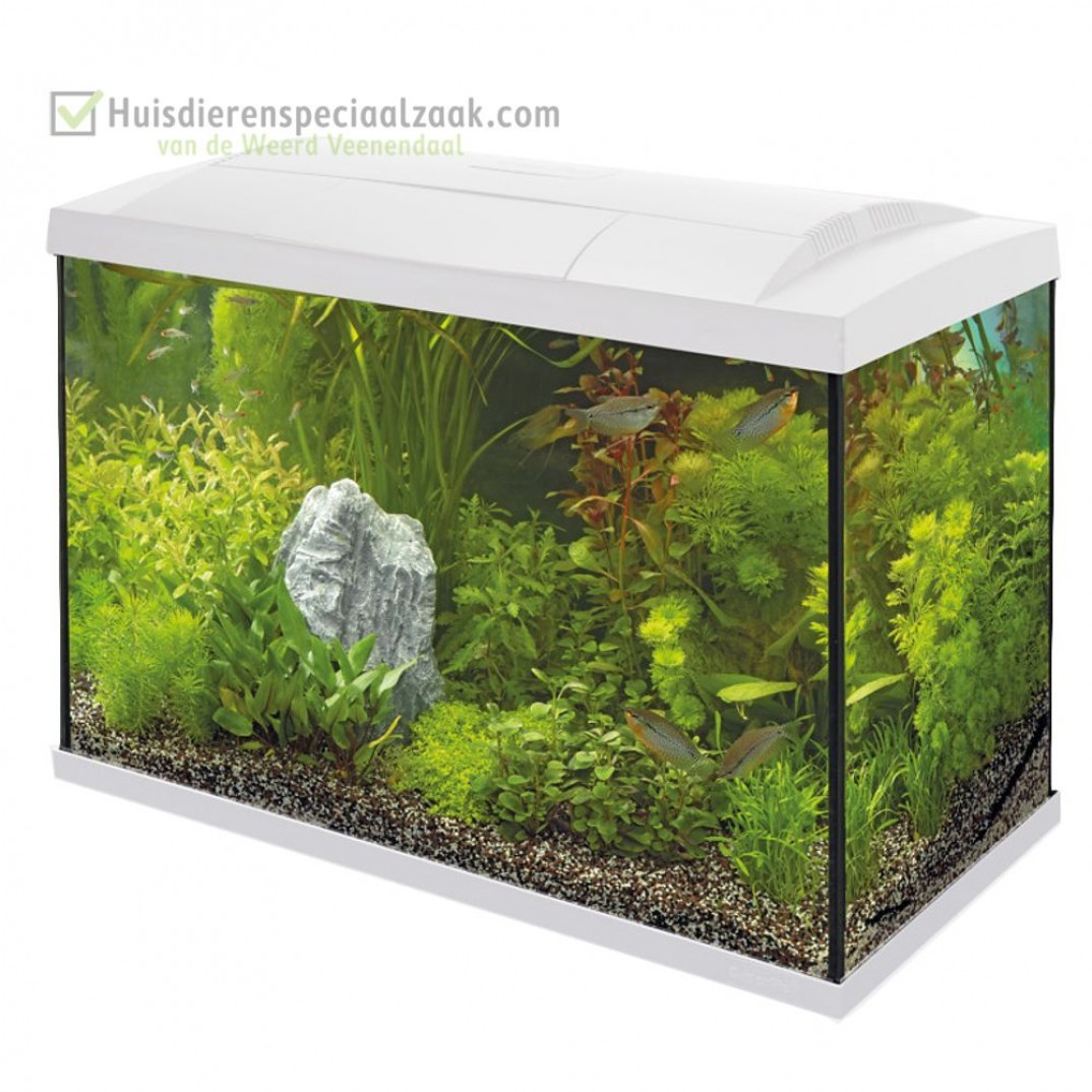 Superfish starters aquarium van inhoud 70 liter speciaal voor tropische vissen kleur is wit