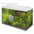Superfish starters aquarium van inhoud 70 liter speciaal voor tropische vissen kleur is wit