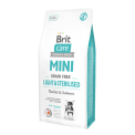 Brit Care- Mini light and sterilised