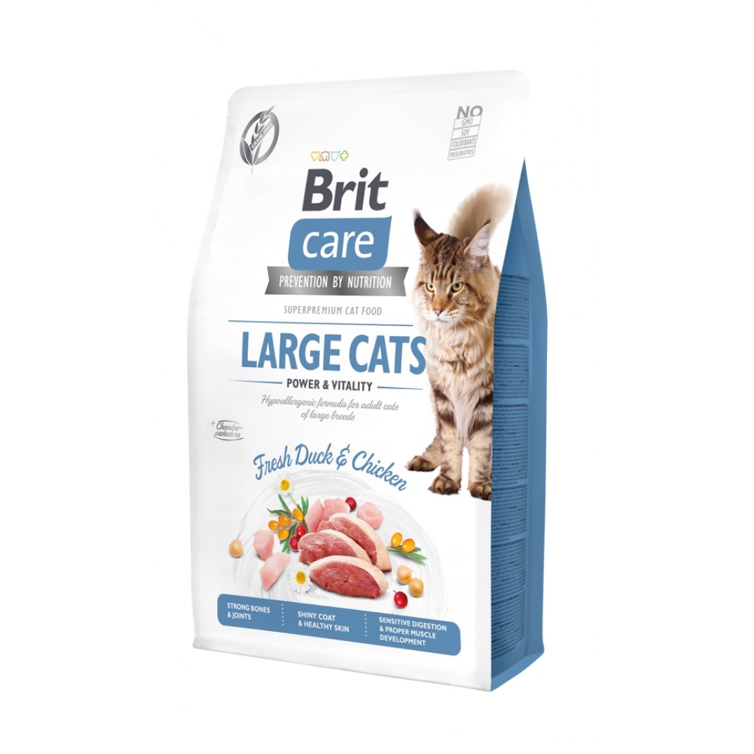 Brit Care Large cats Power & Vitality  400gr