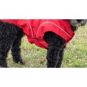 DogBite Winterjas rood