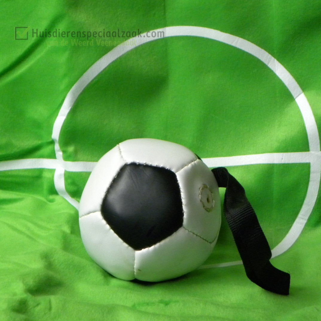 Mini Voetbal zwart Wit met koord
