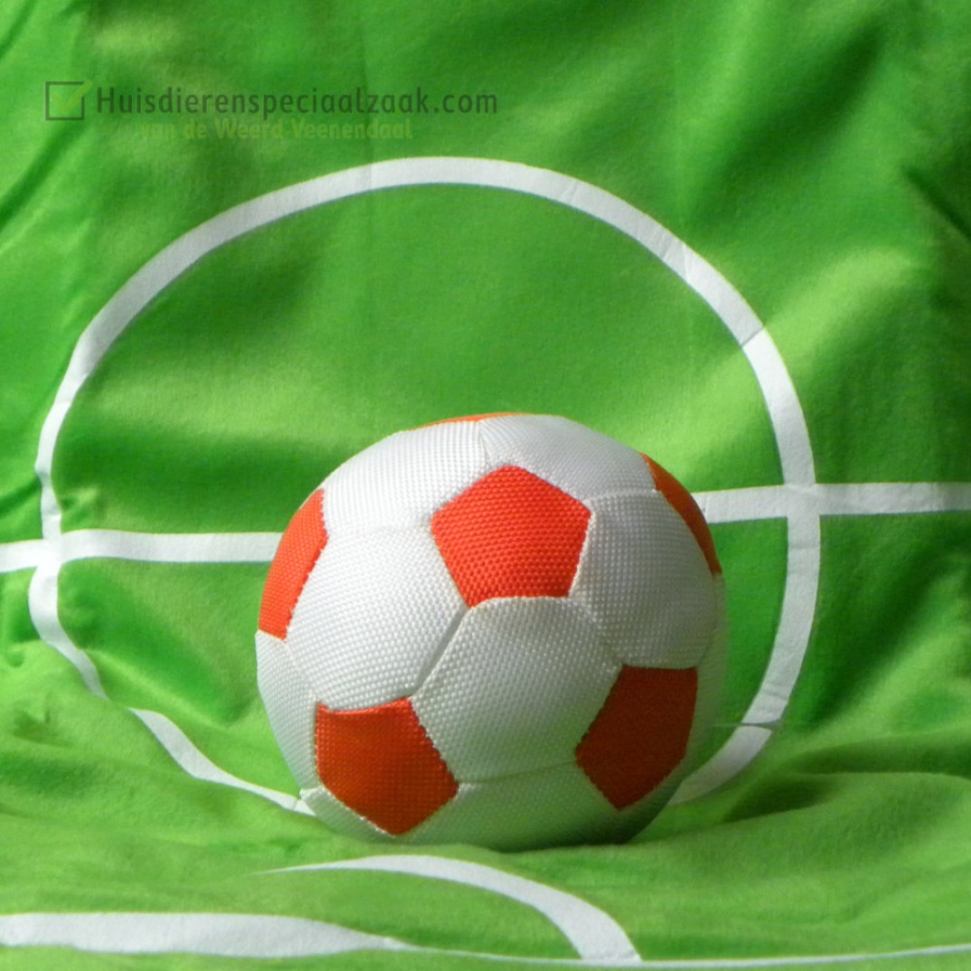 Mini Voetbal Oranje Wit