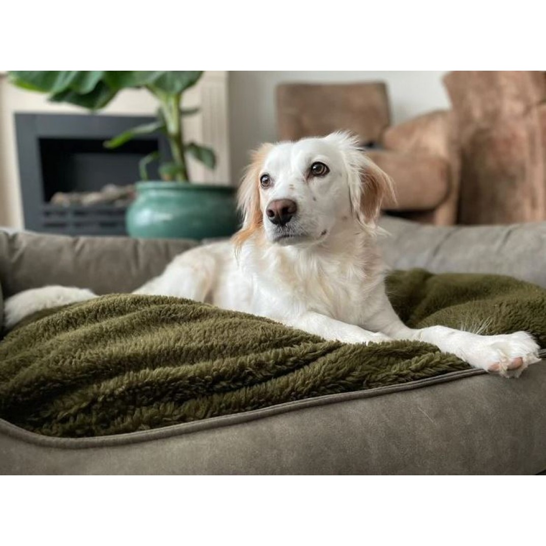 Maxxnobel Orthopedische Sofa - Lederlook Olijf 120x85 