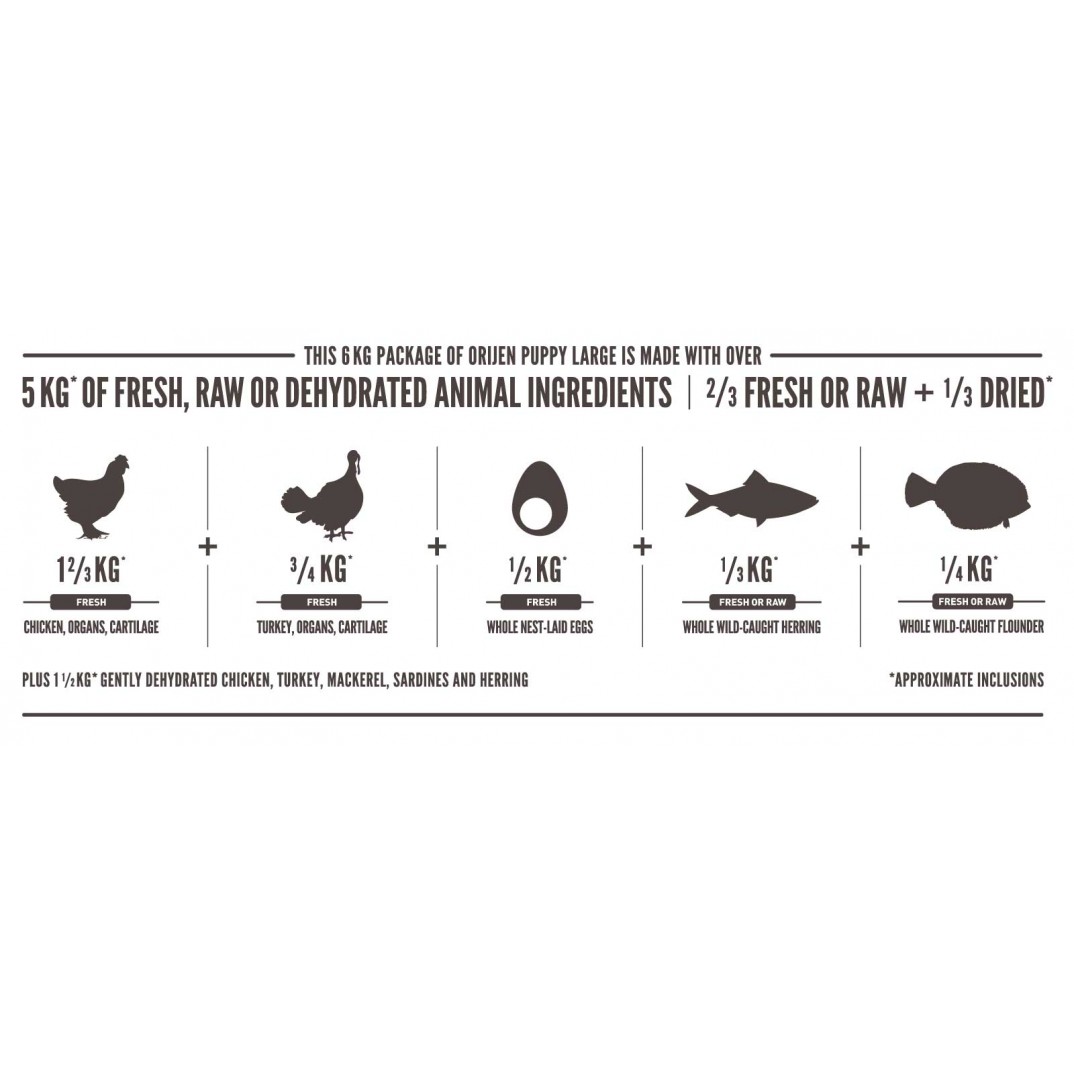 Orijen Whole Prey Puppy large breed