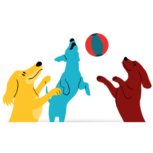 Petbloon hondenbal