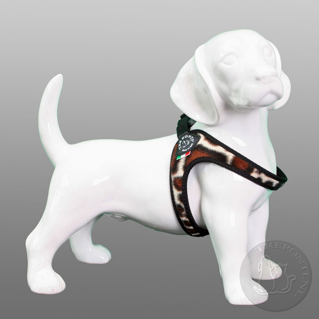 Tre Ponti Fibbia fashion animal