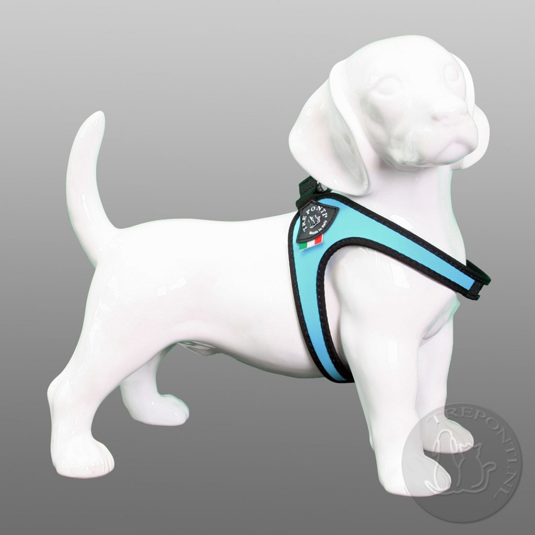 Tre Ponti Fibbia standaard