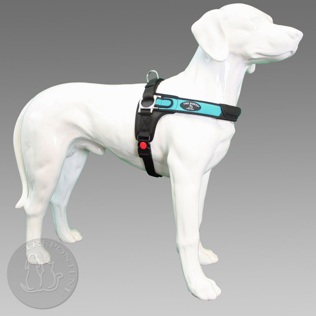 Tre Ponti Forza blauw standaard