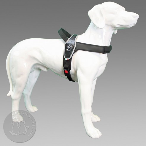 Tre Ponti Primo - reflective