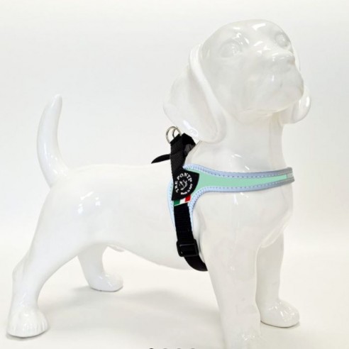 Tre Ponti Fibbia - verstelbaar reflectie mint