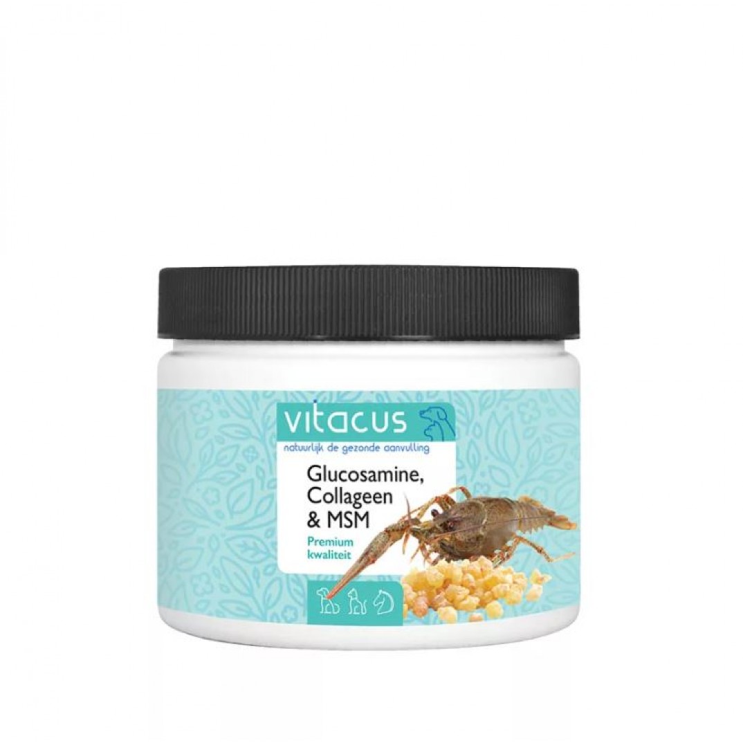 Vitacus Glucosamine Collageen MSM supplement voor hond kat paard